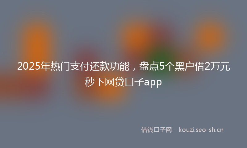 2025年热门支付还款功能，盘点5个黑户借2万元秒下网贷口子app