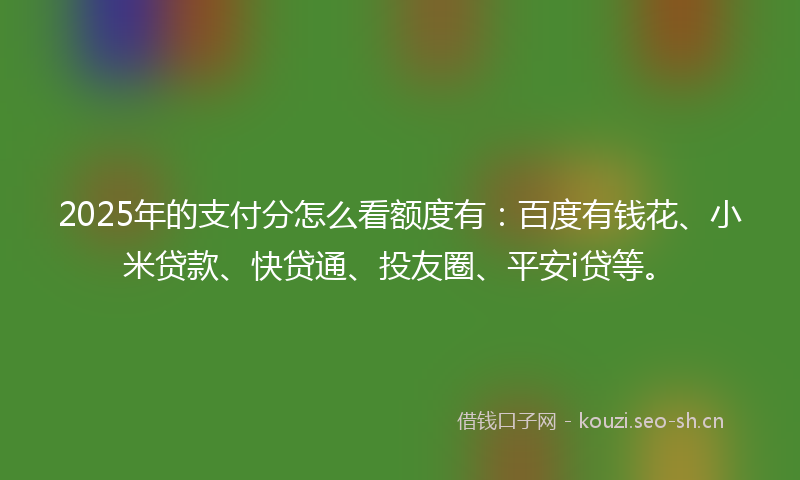 2025年的支付分怎么看额度有：百度有钱花、小米贷款、快贷通、投友圈、平安i贷等。