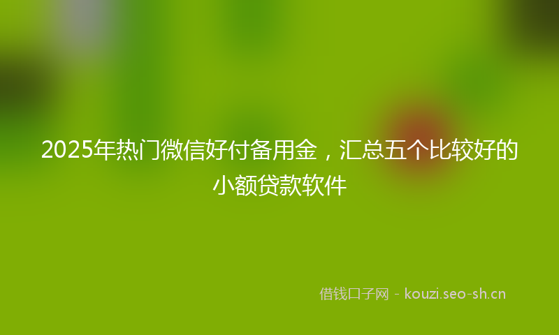 2025年热门微信好付备用金，汇总五个比较好的小额贷款软件