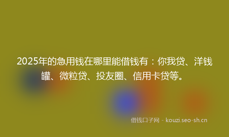 2025年的急用钱在哪里能借钱有：你我贷、洋钱罐、微粒贷、投友圈、信用卡贷等。