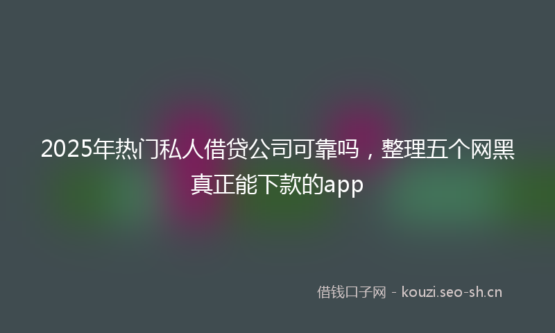 2025年热门私人借贷公司可靠吗,整理五个网黑真正能下款的app