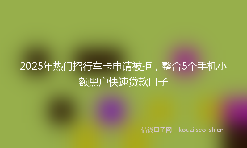 2025年热门招行车卡申请被拒，整合5个手机小额黑户快速贷款口子