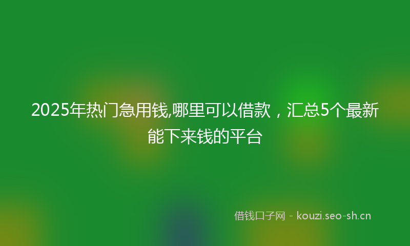 2025年热门急用钱,哪里可以借款，汇总5个最新能下来钱的平台