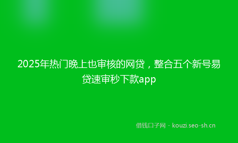 2025年热门晚上也审核的网贷，整合五个新号易贷速审秒下款app