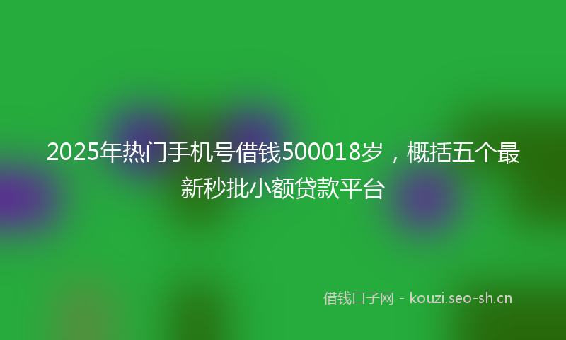 2025年热门手机号借钱500018岁,概括五个最新秒批小额贷款平台