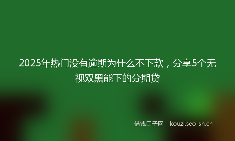 2025年热门没有逾期为什么不下款，分享5个无视双黑能下的分期贷