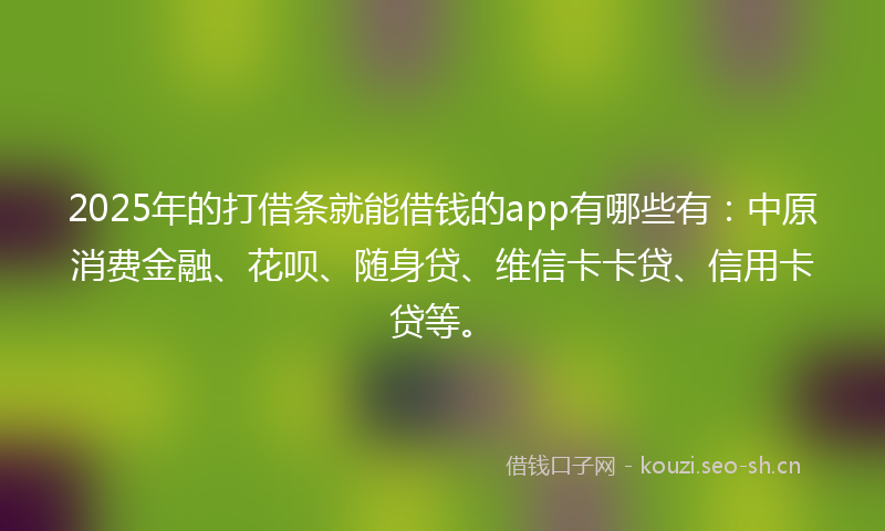 2025年的打借条就能借钱的app有哪些有：中原消费金融、花呗、随身贷、维信卡卡贷、信用卡贷等。