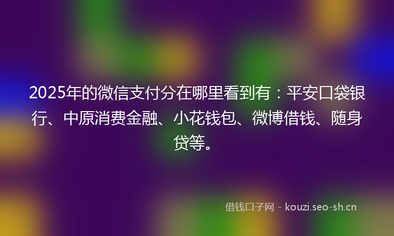 2025年的微信支付分在哪里看到有：平安口袋银行、中原消费金融、小花钱包、微博借钱、随身贷等。