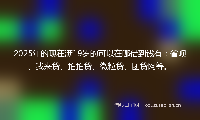 2025年的现在满19岁的可以在哪借到钱有：省呗、我来贷、拍拍贷、微粒贷、团贷网等。