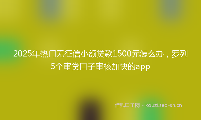 2025年热门无征信小额贷款1500元怎么办，罗列5个审贷口子审核加快的app