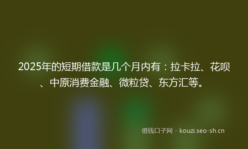 2025年的短期借款是几个月内有：拉卡拉、花呗、中原消费金融、微粒贷、东方汇等。
