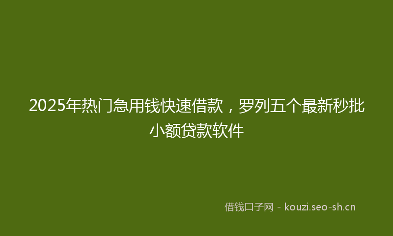2025年热门急用钱快速借款，罗列五个最新秒批小额贷款软件