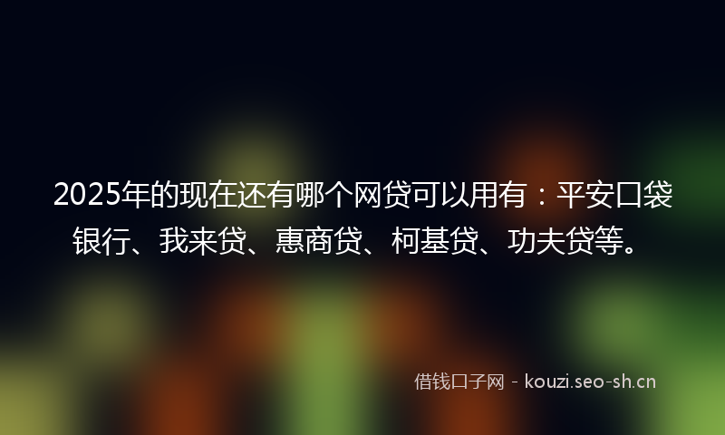 2025年的现在还有哪个网贷可以用有：平安口袋银行、我来贷、惠商贷、柯基贷、功夫贷等。