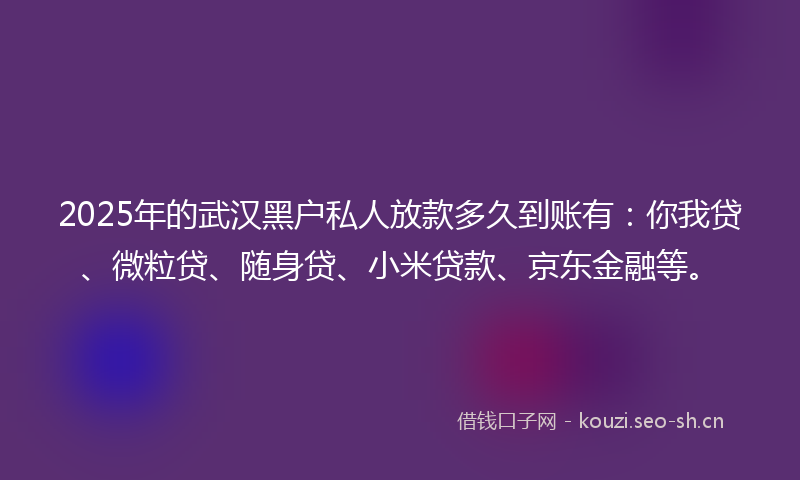 2025年的武汉黑户私人放款多久到账有：你我贷、微粒贷、随身贷、小米贷款、京东金融等。