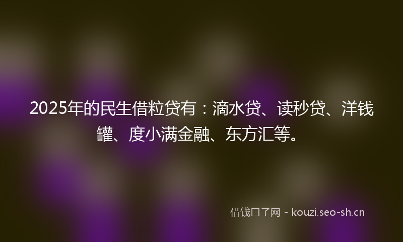2025年的民生借粒贷有:滴水贷、读秒贷、洋钱罐、度小满金融、东方汇等。
