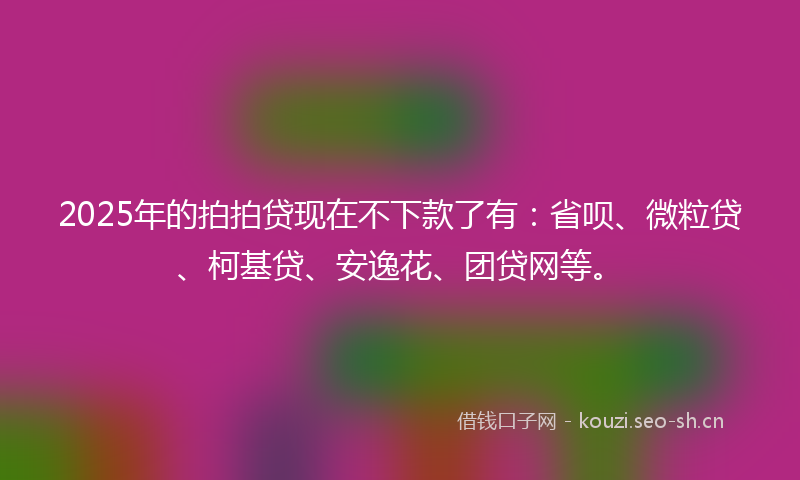 2025年的拍拍贷现在不下款了有：省呗、微粒贷、柯基贷、安逸花、团贷网等。