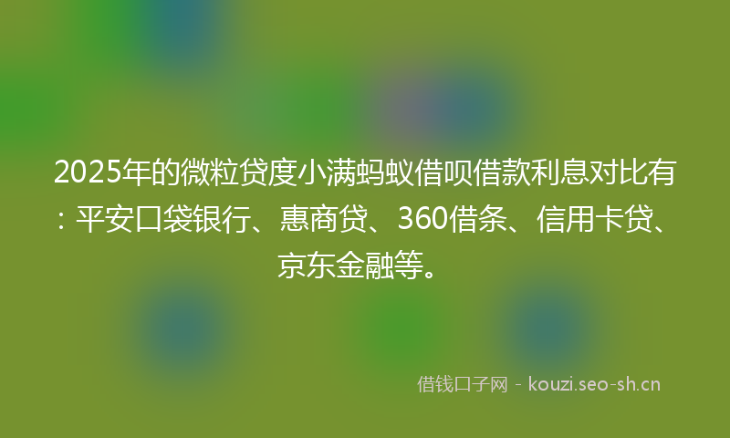 2025年的微粒贷度小满蚂蚁借呗借款利息对比有：平安口袋银行、惠商贷、360借条、信用卡贷、京东金融等。