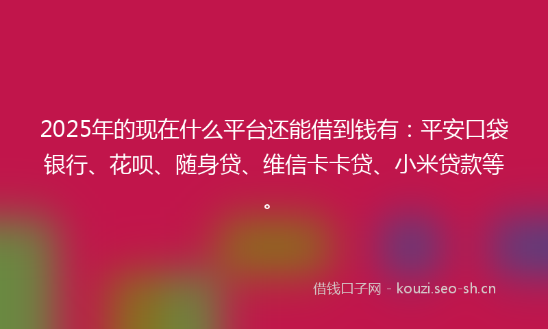 2025年的现在什么平台还能借到钱有：平安口袋银行、花呗、随身贷、维信卡卡贷、小米贷款等。