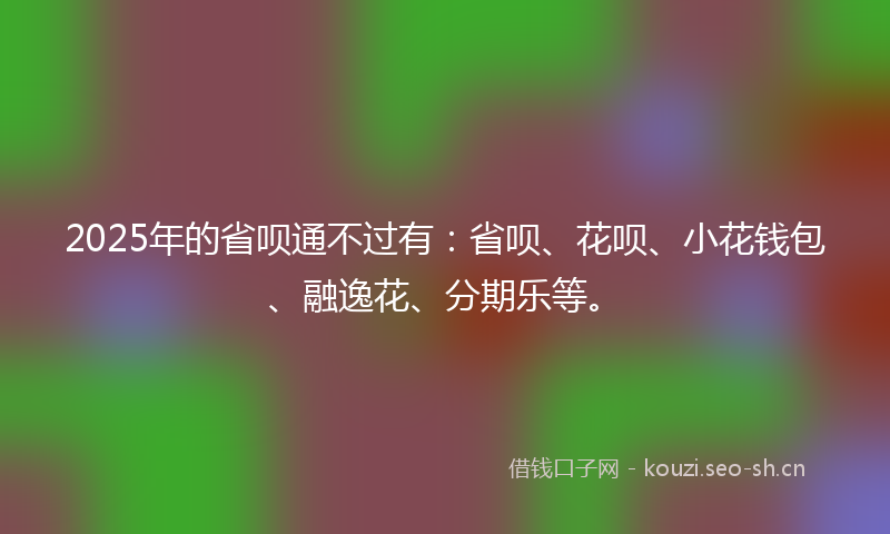 2025年的省呗通不过有：省呗、花呗、小花钱包、融逸花、分期乐等。