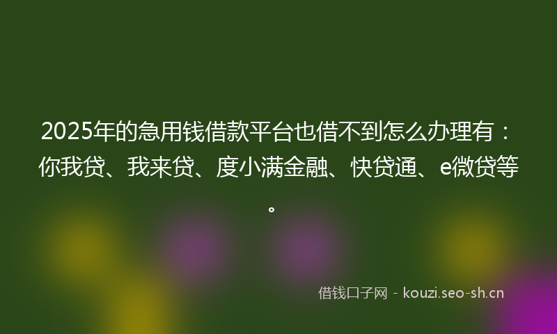 2025年的急用钱借款平台也借不到怎么办理有：你我贷、我来贷、度小满金融、快贷通、e微贷等。