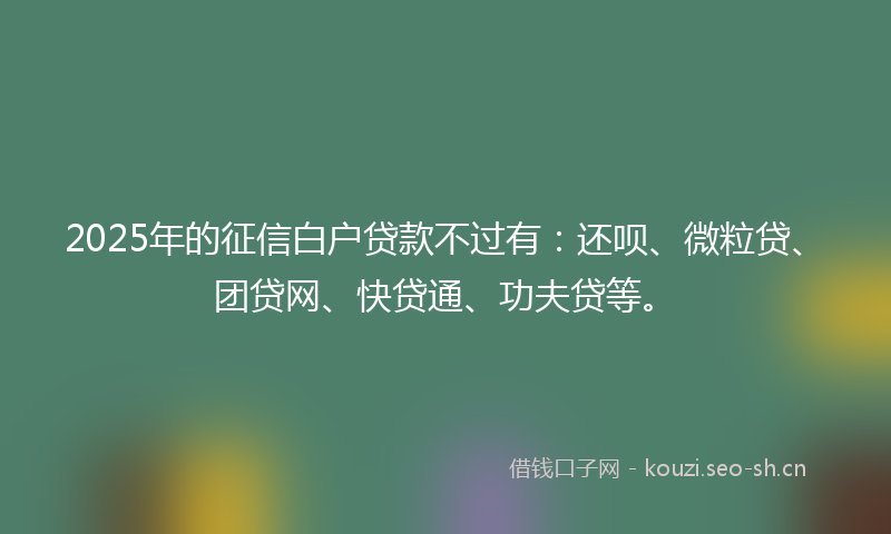 2025年的征信白户贷款不过有：还呗、微粒贷、团贷网、快贷通、功夫贷等。