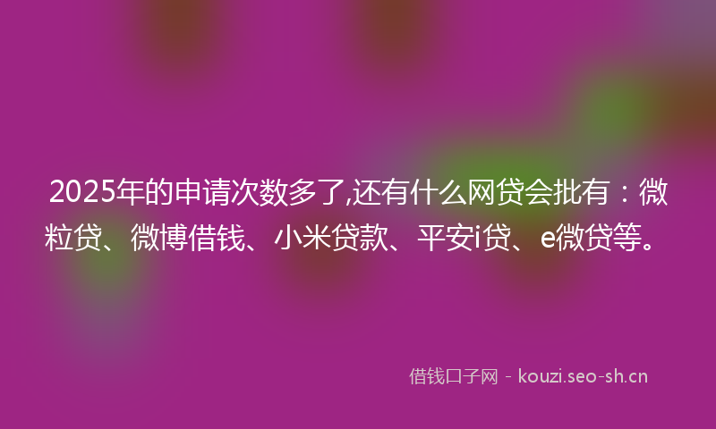 2025年的申请次数多了,还有什么网贷会批有：微粒贷、微博借钱、小米贷款、平安i贷、e微贷等。