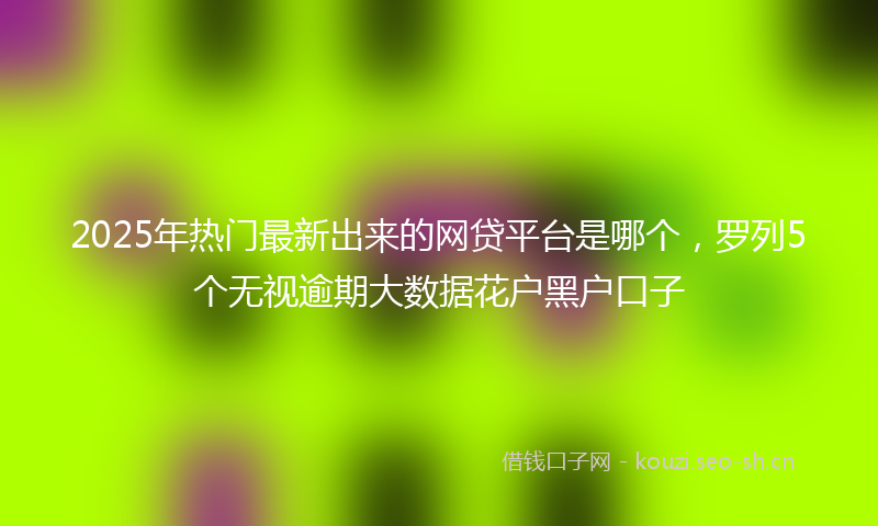 2025年热门最新出来的网贷平台是哪个,罗列5个无视逾期大数据花户黑户口子