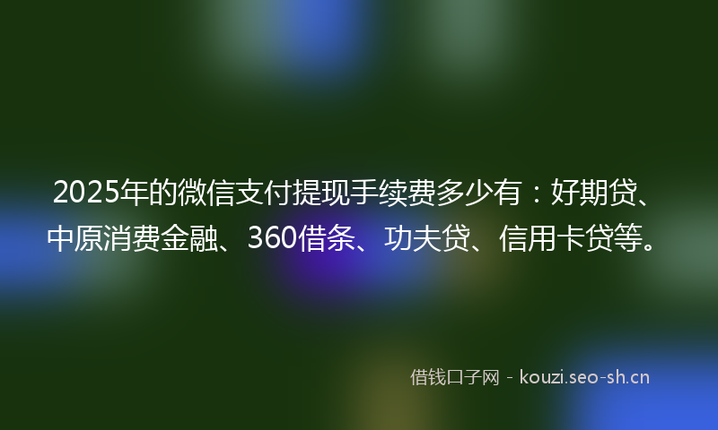 2025年的微信支付提现手续费多少有：好期贷、中原消费金融、360借条、功夫贷、信用卡贷等。