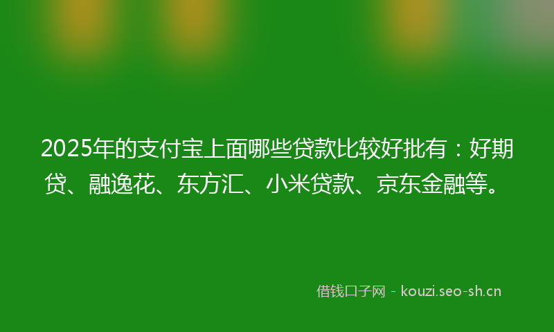 2025年的支付宝上面哪些贷款比较好批有:好期贷、融逸花、东方汇、小米贷款、京东金融等。