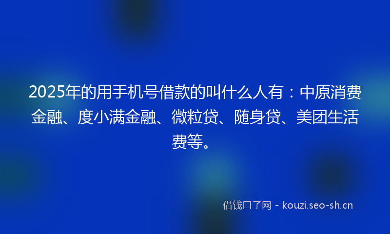 2025年的用手机号借款的叫什么人有：中原消费金融、度小满金融、微粒贷、随身贷、美团生活费等。