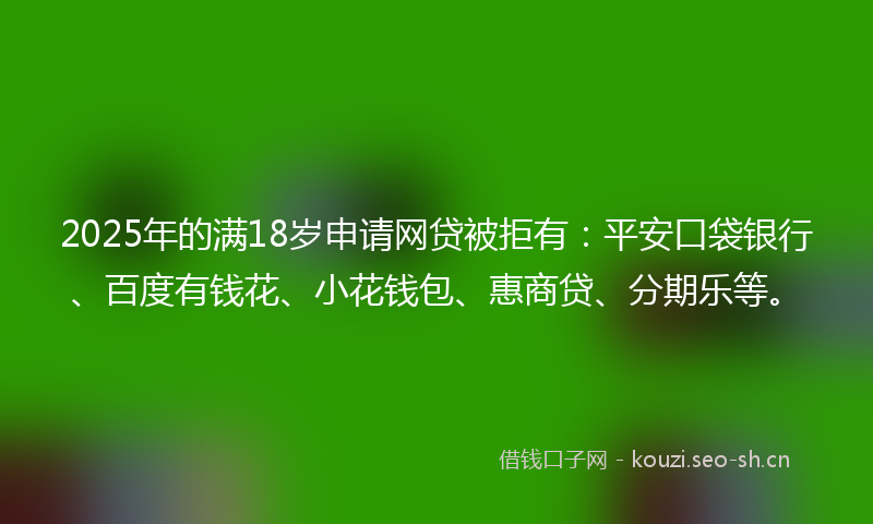 2025年的满18岁申请网贷被拒有：平安口袋银行、百度有钱花、小花钱包、惠商贷、分期乐等。