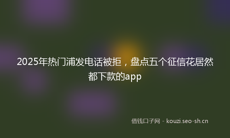 2025年热门浦发电话被拒，盘点五个征信花居然都下款的app