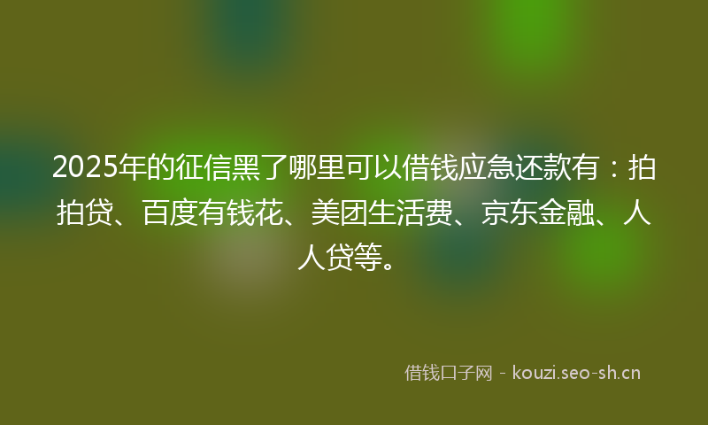 2025年的征信黑了哪里可以借钱应急还款有:拍拍贷、百度有钱花、美团生活费、京东金融、人人贷等。