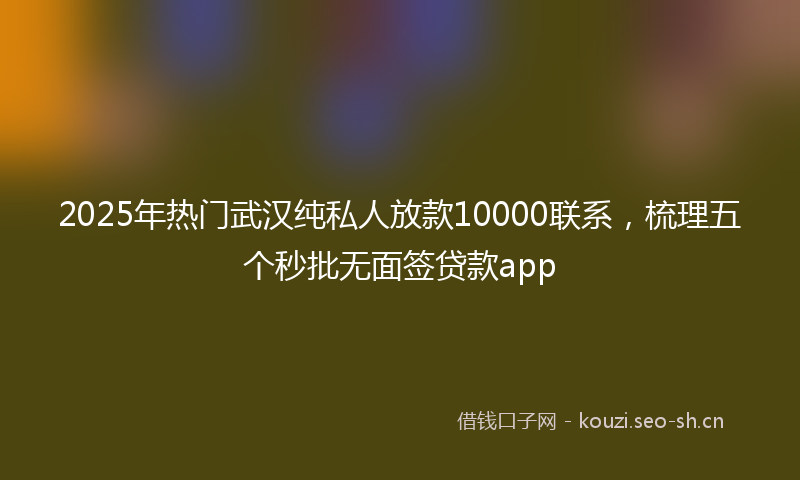 2025年热门武汉纯私人放款10000联系，梳理五个秒批无面签贷款app