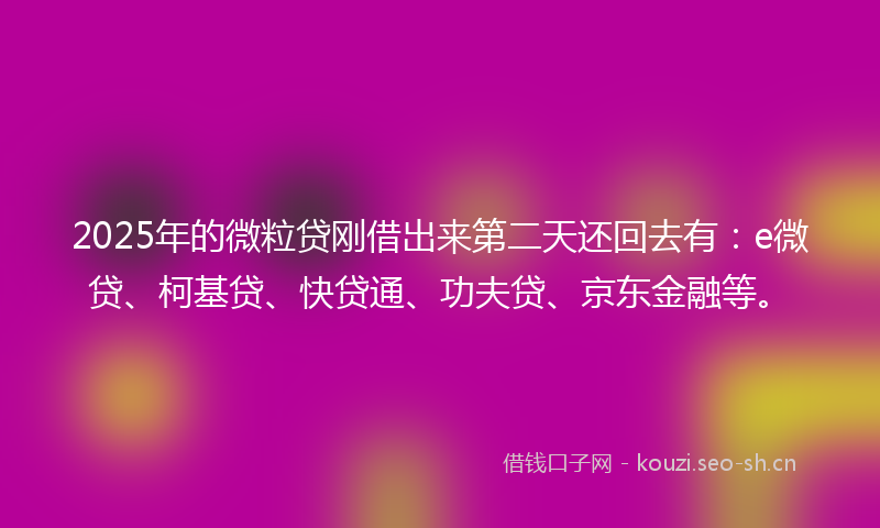 2025年的微粒贷刚借出来第二天还回去有：e微贷、柯基贷、快贷通、功夫贷、京东金融等。