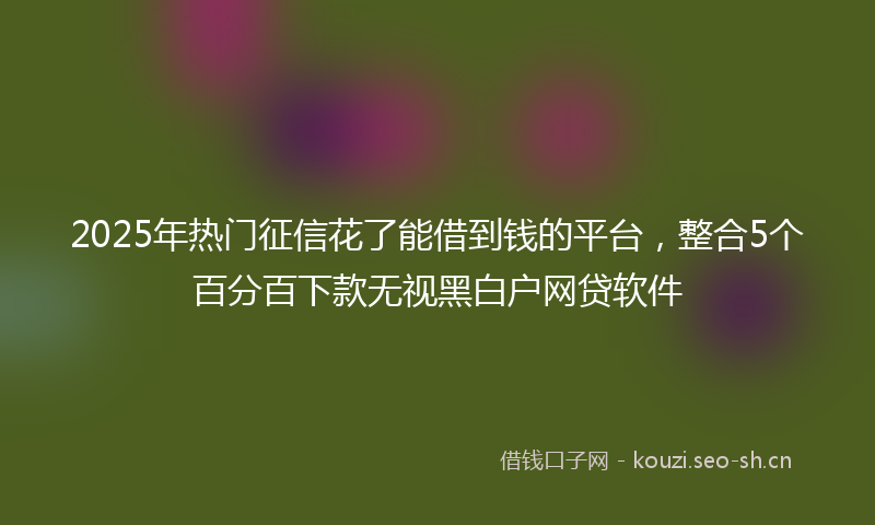 2025年热门征信花了能借到钱的平台，整合5个百分百下款无视黑白户网贷软件