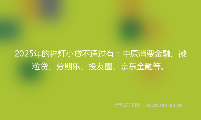 2025年的神灯小贷不通过有：中原消费金融、微粒贷、分期乐、投友圈、京东金融等。