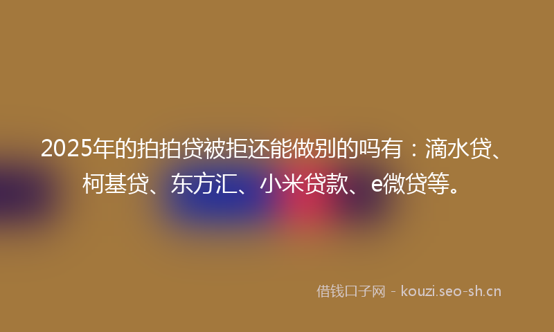 2025年的拍拍贷被拒还能做别的吗有:滴水贷、柯基贷、东方汇、小米贷款、e微贷等。