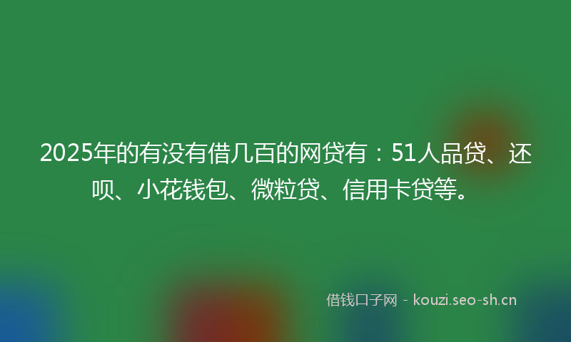 2025年的有没有借几百的网贷有：51人品贷、还呗、小花钱包、微粒贷、信用卡贷等。