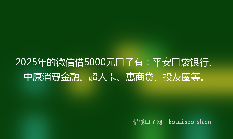 2025年的微信借5000元口子有：平安口袋银行、中原消费金融、超人卡、惠商贷、投友圈等。