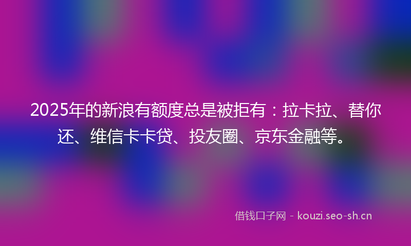 2025年的新浪有额度总是被拒有：拉卡拉、替你还、维信卡卡贷、投友圈、京东金融等。
