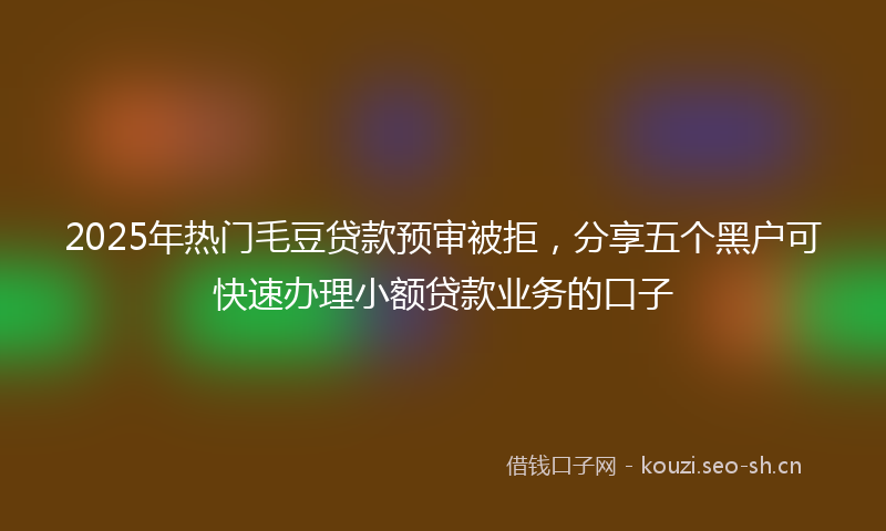 2025年热门毛豆贷款预审被拒，分享五个黑户可快速办理小额贷款业务的口子