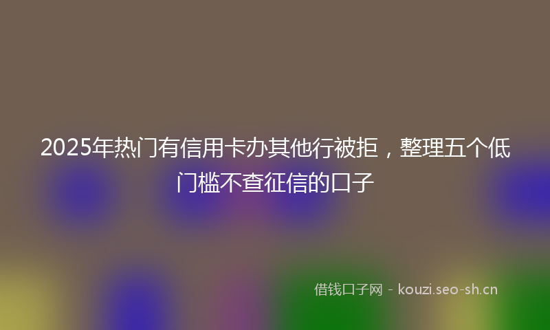 2025年热门有信用卡办其他行被拒，整理五个低门槛不查征信的口子