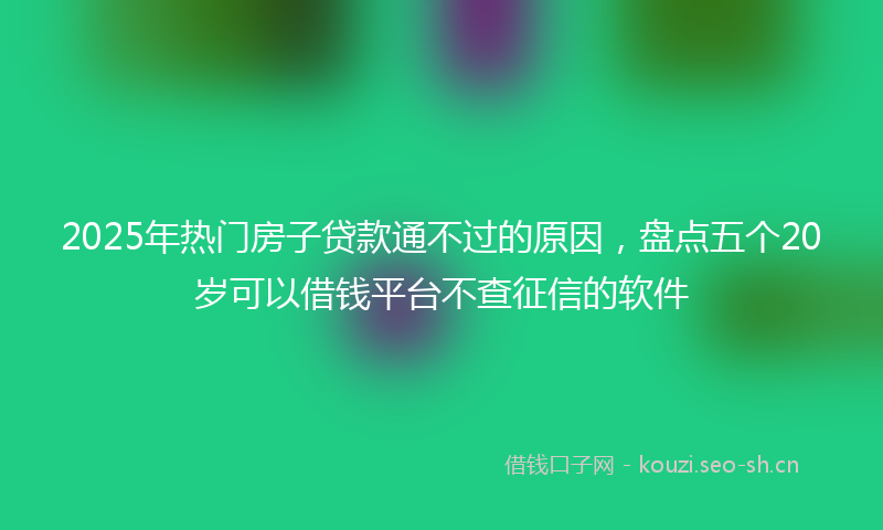 2025年热门房子贷款通不过的原因，盘点五个20岁可以借钱平台不查征信的软件