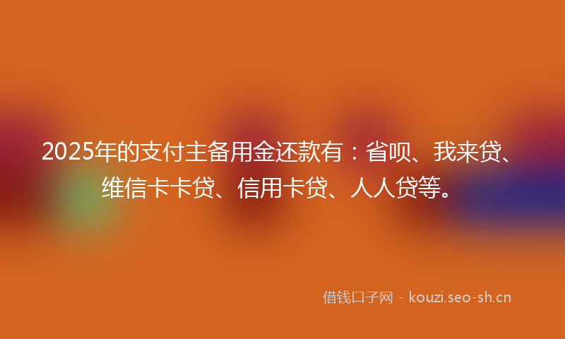 2025年的支付主备用金还款有：省呗、我来贷、维信卡卡贷、信用卡贷、人人贷等。