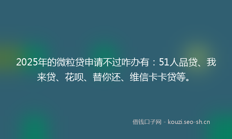 2025年的微粒贷申请不过咋办有：51人品贷、我来贷、花呗、替你还、维信卡卡贷等。