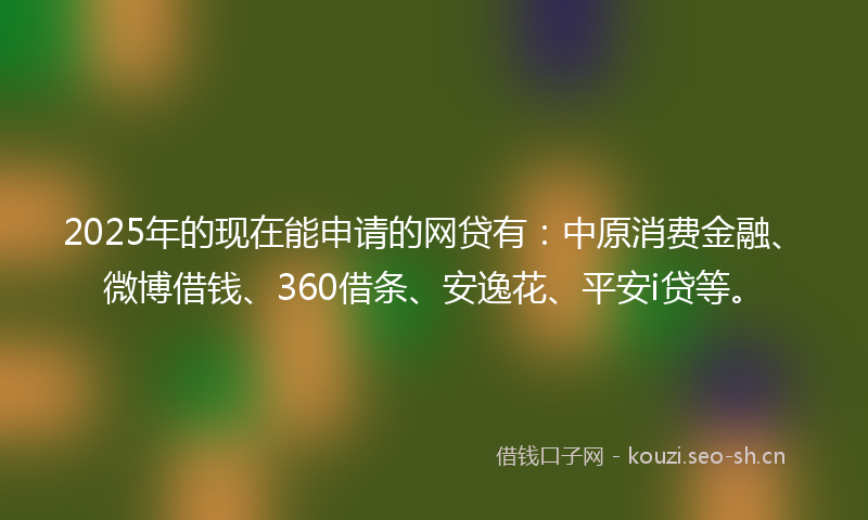 2025年的现在能申请的网贷有：中原消费金融、微博借钱、360借条、安逸花、平安i贷等。