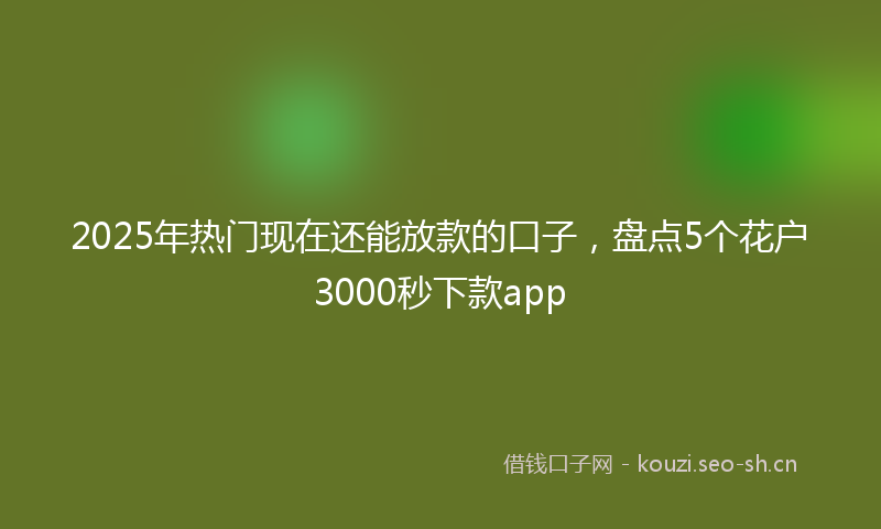 2025年热门现在还能放款的口子，盘点5个花户3000秒下款app