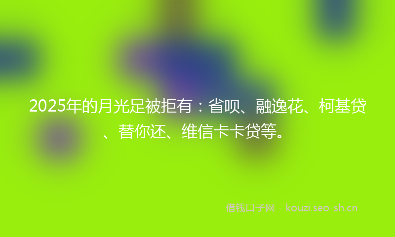 2025年的月光足被拒有：省呗、融逸花、柯基贷、替你还、维信卡卡贷等。