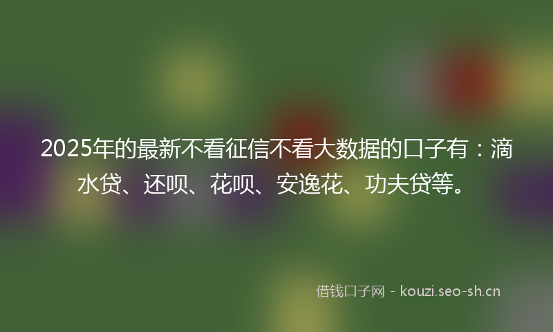2025年的最新不看征信不看大数据的口子有:滴水贷、还呗、花呗、安逸花、功夫贷等。